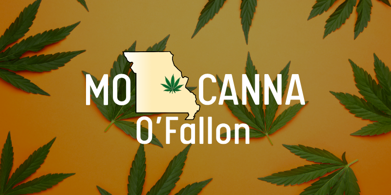 cannabis leaves against an orange background with MO Canna O'Fallon's logo in the foreground