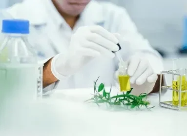 Cannabis Testing Requirements