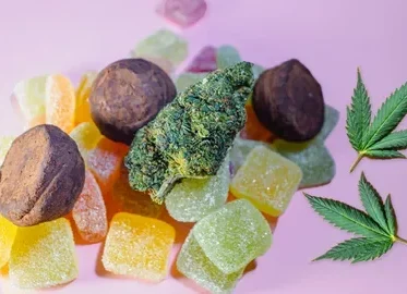 THC vs CBD Effects in Recipes
