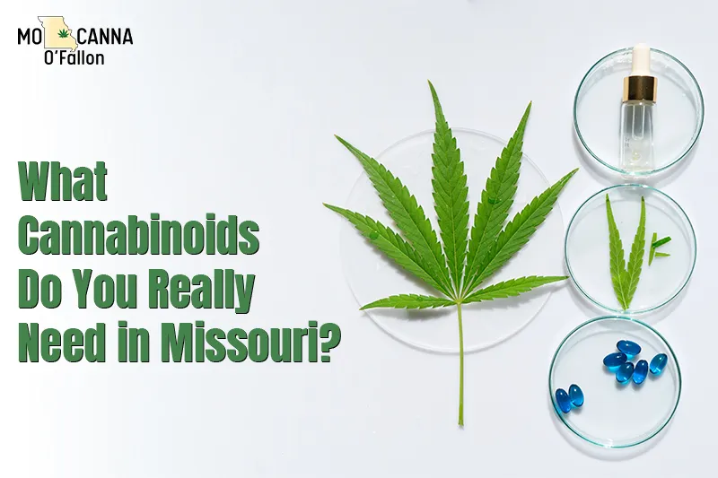 What Cannabinoids Do You Really Need in Missouri?