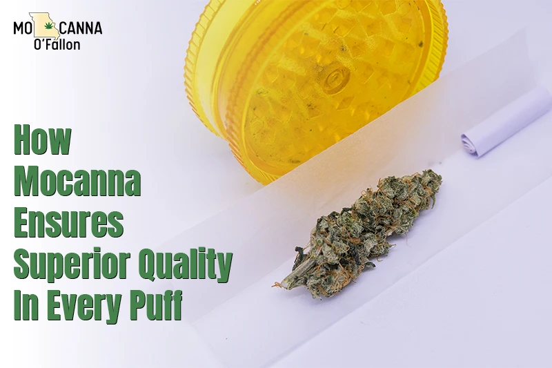 How Mocanna Ensures Superior Quality in Every Puff