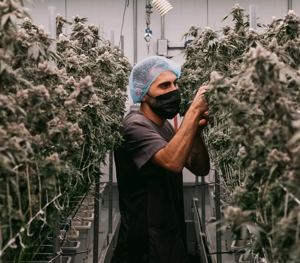 Technology Features Improving Modern Dispensaries