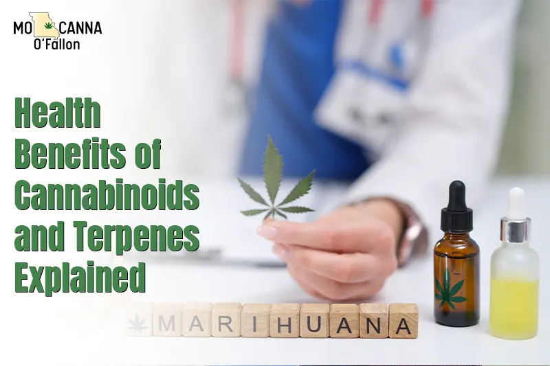 Health Benefits of Cannabinoids and Terpenes Explained