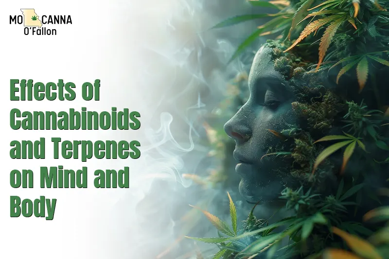 Effects of Cannabinoids and Terpenes on Mind and Body