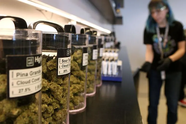 Why Local Dispensaries Prefer Certain Brands