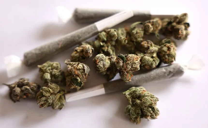 Cannabis Consumption Is Entering A New Era