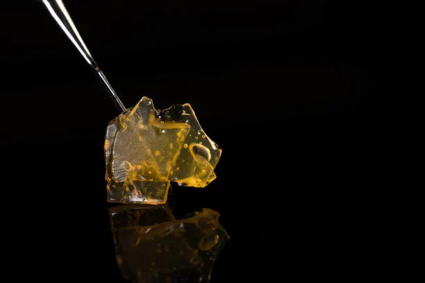 Building A Clear Understanding Of Cannabis Concentrates