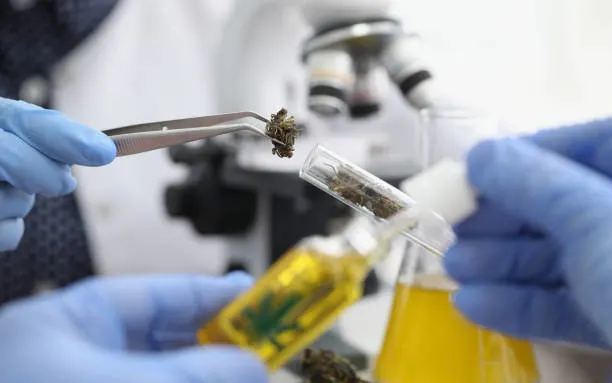 Understanding the Most Common Cannabis Extraction Methods
