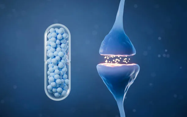 Why the Endocannabinoid System Matters for Everyday Health