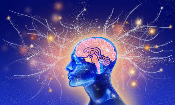 Why the Brain Relies on Endocannabinoid Communication