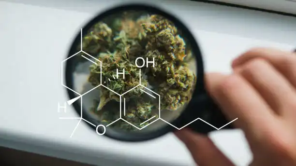 Recognizing How Individual Concentrates Stand Apart